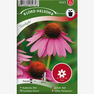 Rudbeckia, Röd, Starlight