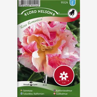 Sömntuta, Rosa Romantica