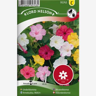 Underblomma, bl färger