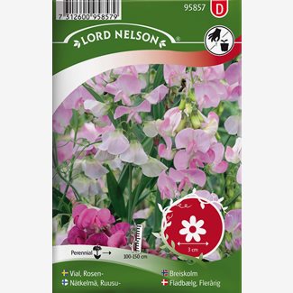 Vial, Rosen-, rosa, flerårig