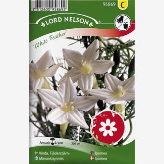 Vinda, Fjäderstjärn-, White Feather
