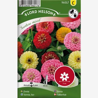 Zinnia, Sunbow, bl färger