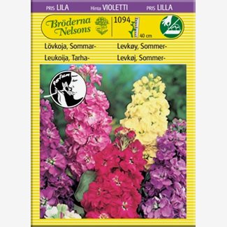 Lövkoja, sommar, blandade färger