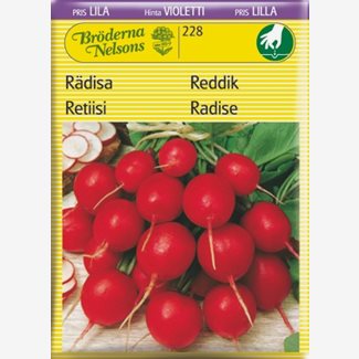 Rädisa, Cherry Belle
