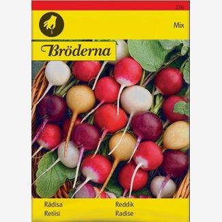 Rädisa, blandade färger