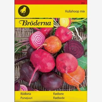 Rödbeta, blandade färger