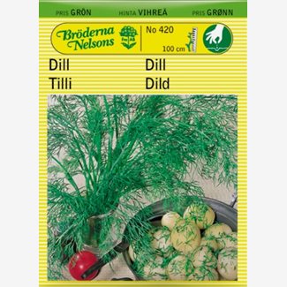 Dill, vanlig, Como
