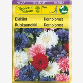 Blåklint, hög, blandade färger