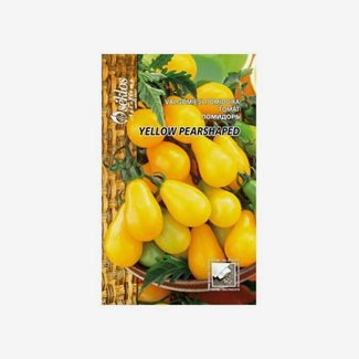 Tomat, Yellow pearshaped