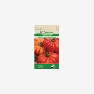 Tomat, Costoluto Fiorentino