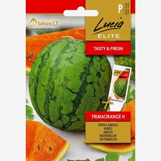 Melon, vattenmelon, Prima Orange F1