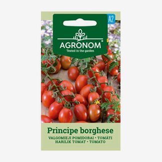 Tomat, Principe Borghe