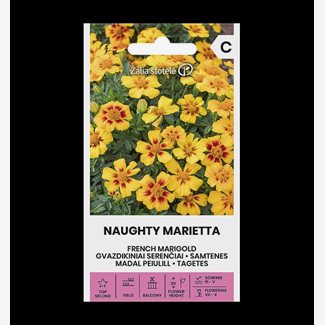 Tagetes, Naughty Marietta