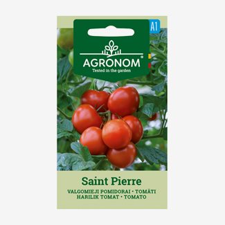Tomat, Saint Pierre