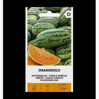Melon, Vattenmelon, Orangeglo