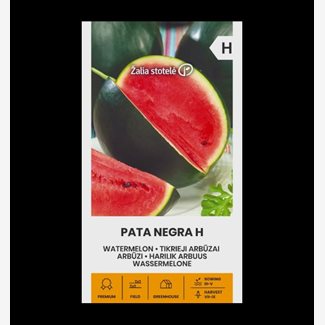 Melon, Vattenmelon, Pata Negra F1