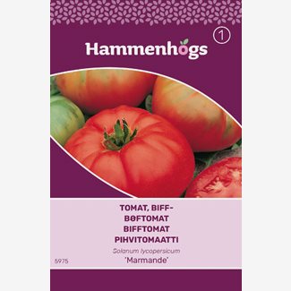 Tomat, biff Marmande