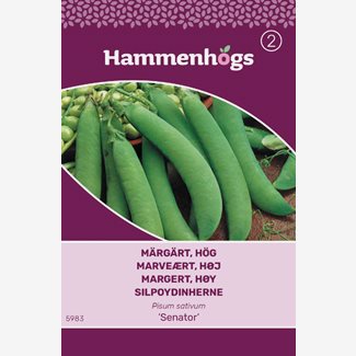 Ärt, märg hög Senator