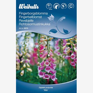 Fingerborgsblomma  mix