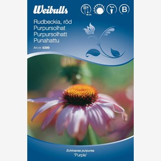 Rudbeckia, röd