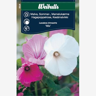 Malva, Sommarmalva, blandning