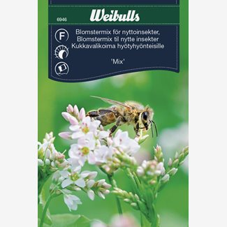 Blomstermix för nyttoinsekter