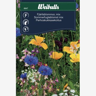 Fjärilsblommor, blandade sorter