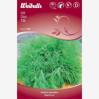 Dill mammut