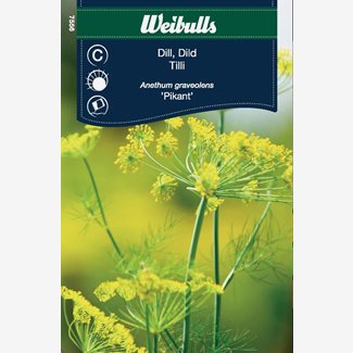 Dill Pikant