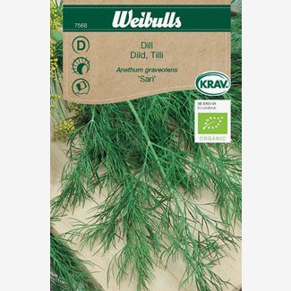 Dill KRAV Sari