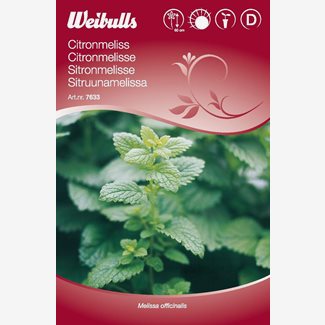 Citronmeliss