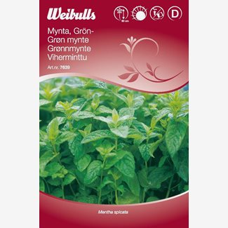 Mynta, grönmynta