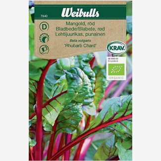Mangold, röd, Rhubarb Chard - KRAV