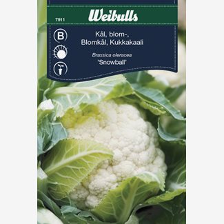 Kål, blomkål, Snowball