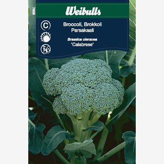 Kål, Broccoli