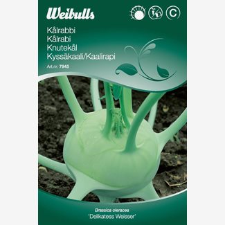 Kålrabbi Delikat.Weisser