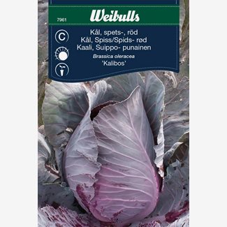 Kål, spets, Kalibos röd