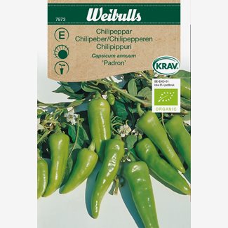 Chilipeppar, Padron - Krav