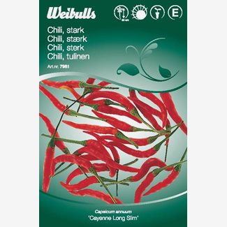 Chili, Cayenne long slim