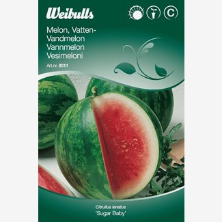 Melon, vattenmelon