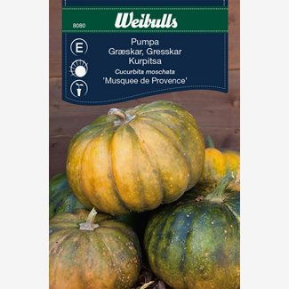 Pumpa, Musquee de Provence