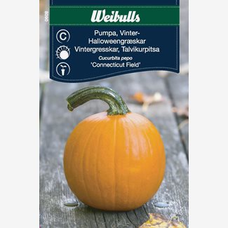 Pumpa Halloween