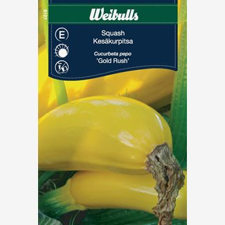 Squash, Gold Rush
