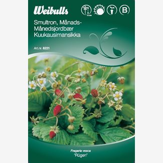 Smultron, månadssmultron