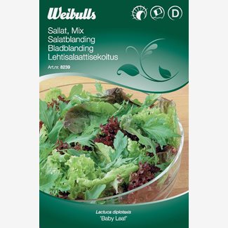 Sallat, Baby leaf
