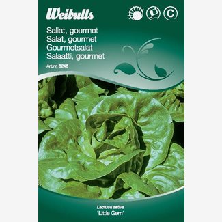 Sallat, Gourmet, Little Gem