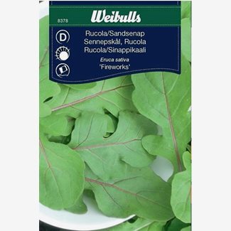 Ruccola, Fireworks