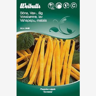 Böna, vaxböna låg, Sonesta