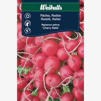 Rädisa Cherry belle