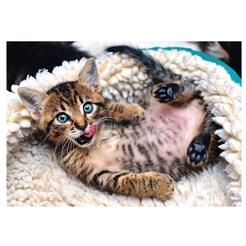 1000 bitar - Kelig katt